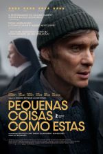 Cartaz do filme Pequenas Coisas Como Estas